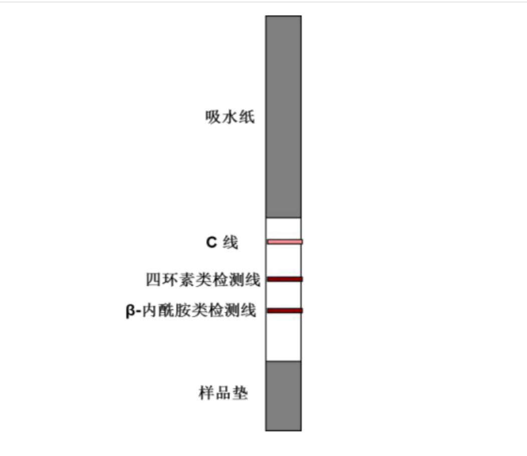 1649237642135470.jpg 四環(huán)素類+β-內酰胺類抗生素檢測試紙條.jpg